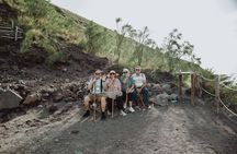 Pompeii and Mount Vesuvius Small Group Tour from Naples