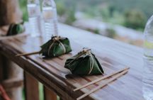 Chiang Mai 4 in 1 : 2 days - 1 Nights. Elephants Camp + Adventure 