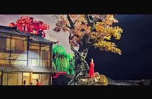 Xi'an Silk Road(Camel Bell)Legend show with round-trip transfer