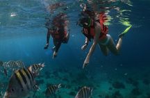 Shore Excursion: Clear Boat Ride, Snorkel & Drinks