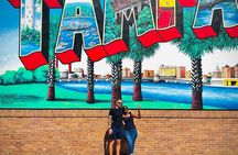 Small Group Tampa Sightseeing City Bus Tour