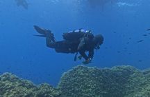 Diving at the Baia Submerged Park for certified divers