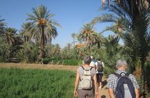 Tiout an Taroudant day trip from Taghazoute