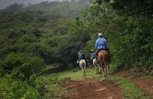 Adventure Buena Vista Hot Springs Zipline Horses and More