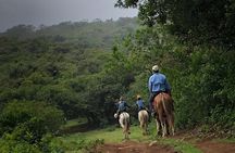 Adventure Buena Vista Hot Springs Zipline Horses and More