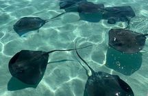 Stingray City Adventure Departing The Cruise Ship Terminal