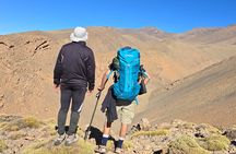 Trekking in Roses Valley -Dades Gorge-Mgoune from Marrakech 