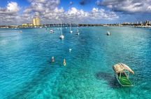 Paddle Boarding Activity to Peanut Island 