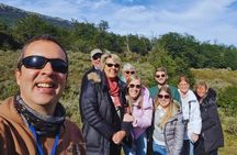 Private Short Excursion to Tierra del Fuego National Park