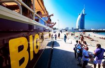 Best of Dubai: Desert Safari, Cruise, Bus Tour & Marina Dinner
