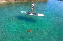 Paddle Boarding Activity to Peanut Island 