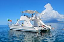 Private Half Day with Waterslide Boat