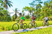 Countryside Cycling Tour From Sigiriya, Dambulla & Habarana