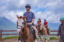 Arenal Horseback Riding