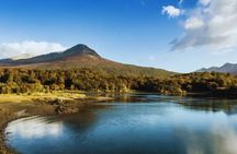 Private Short Excursion to Tierra del Fuego National Park