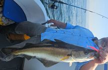 3 Hour Fishing or Sightseeing Charter