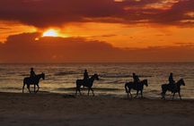 Afternoon Horseback Ride by the Beach in Aguadilla, Puerto Rico