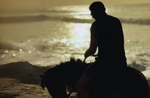 Afternoon Horseback Ride by the Beach in Aguadilla, Puerto Rico