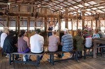 Longreach: Half Day Nogo Station Experience