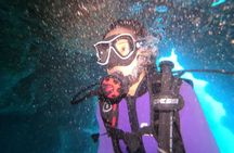 Guided Shore Dive or Refresher Dive