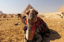  Giza Pyramids Private Visit