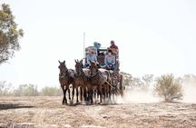 Cobb and Co Stagecoach Experience