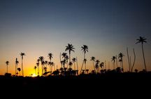 Sunrise Tour in San Andrés Natural Aquarium