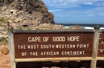 Half Day Cape Of Good Hope and Penguins Tour