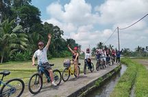 Explore Rice Fields and Hidden Villages with Ubud E-Bike Tour