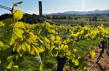 Wine Exposed Nelson Winery Tour
