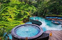 Ubud Monkey Forest Sanctuary Tours and Cretya 