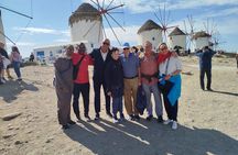 Mykonos Private Island Tour with Transfers and Greek Meal
