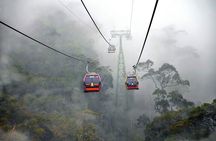 Bana Hills - Golden Hand Bridge Full Day Tour