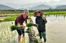 Hanoi: 3D2N Mu Cang Chai Visit All Attractions, Trek, Ethnic Life