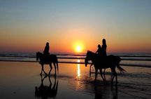 Horse Riding Experience on Black Sand Beach Bali