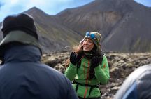Landmannalaugar Hike and Hot Springs from Reykjavik and Hella
