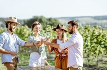 Private Luxury Tour: Ancient Nemea & Top Wine Tasting Experience