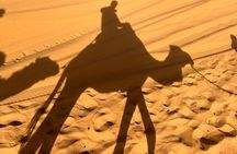 4 Days Desert Adventure Marrakech to Merzouga