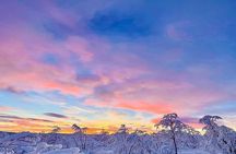Evening tour: Sledding, mini skiing, lasso and reindeer hides