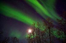 Evening tour: Sledding, mini skiing, lasso and reindeer hides