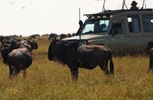 3 Days Masai Mara Group Joining Budget Safari