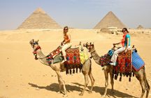 Grand Egyptian museum (GEM), Giza Pyramids, Sphinx and lunch