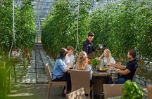 Custom Private Golden Circle, Secret Lagoon & Friðheimar Tour