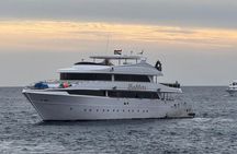 Marsa Mubarak Snorkeling Trip with One intro Dive From Marsa 