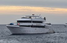 Hula Hula Paradise Island Sea Trip with One Stop Diving _Hurghada