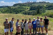 San Gimignano + Lunch&Wine tasting by van from Lucca or Pisa