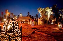 Agadir Fantasia Berber Folk Show with Dinner