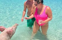 All Inclusive Pig Encounter, Snorkeling, Turtles, Lunch & Beach