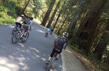 E-Bike Tour in the Avenue of the Giants Redwood Forests - 4 Hours