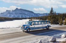 Banff Winter Tour Featuring Mountaintop Dinner and Banff Gondola